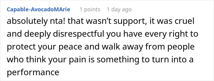 Screenshot of an online comment discussing drama and a fake adoption plan involving a woman&rsquo;s family.