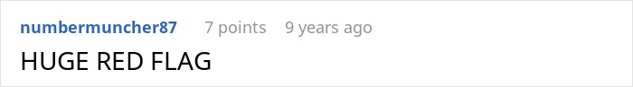 Screenshot of an online comment stating "HUGE RED FLAG" in response to a story about a woman bumping into her boyfriend&rsquo;s grown son.