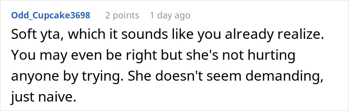 Screenshot of a Reddit comment discussing a bride&rsquo;s unrealistic expectations for an elaborate wedding without spending money.