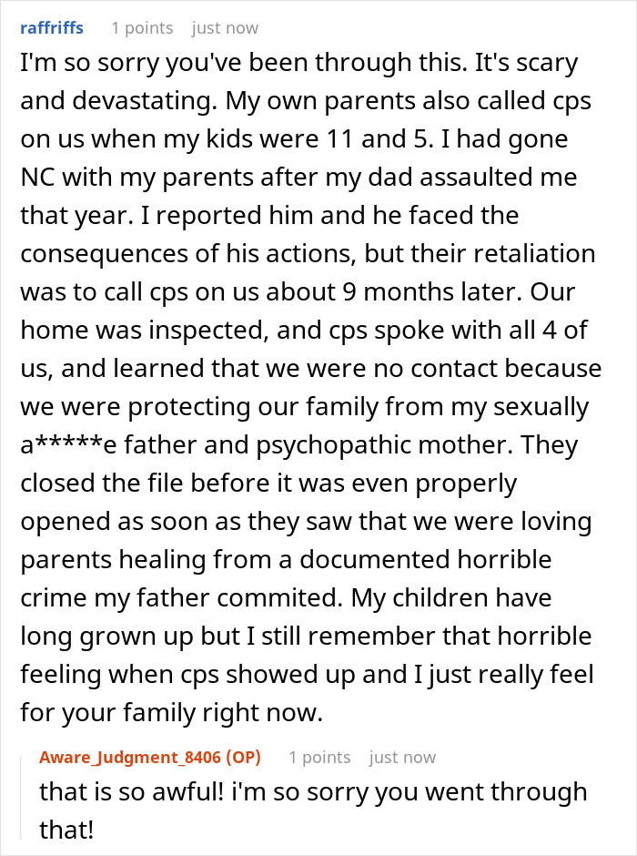 Comment discussing toxic in-laws calling CPS as retaliation after being banned from visiting newborn by a couple.