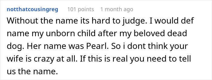 Comment discussing naming unborn child after a beloved deceased dog, reflecting on pregnancy and dog names.