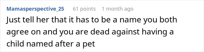 Comment on a forum about a pregnant wife wanting to name baby after childhood dog, with husband feeling weirded out.