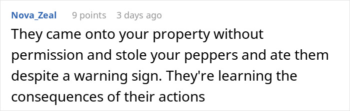 Comment about woman&rsquo;s hot revenge on neighborhood kids, highlighting feelings of laughter and guilt after success.