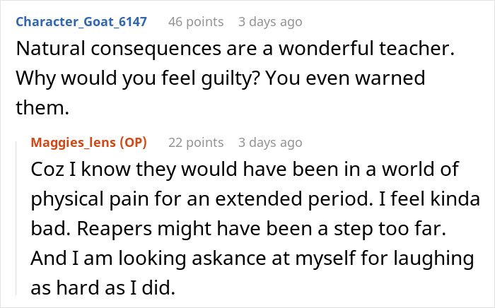 Online exchange showing woman torn between laughter and guilt after her hot revenge on neighborhood kids working like magic