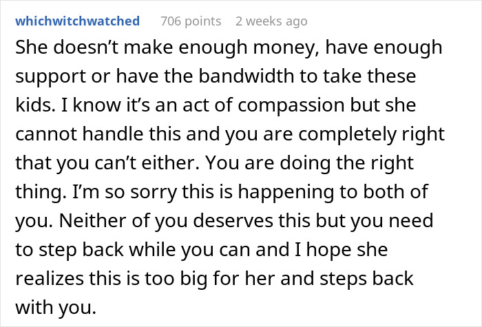 Reddit user discussing challenges of saving niblings from foster care and relationship impact on her boyfriend&rsquo;s future decisions.