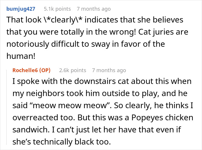 Screenshot of a Reddit discussion about a woman refusing to share her chicken sandwich with her cat.