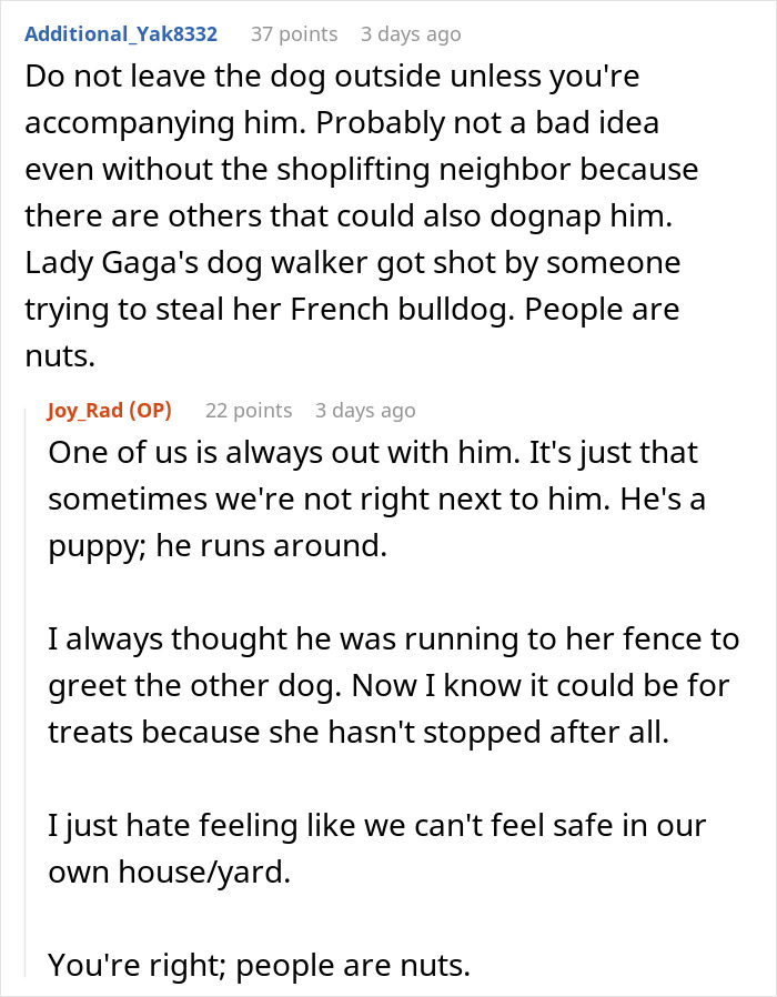 Comments discussing concerns about elderly lady allegedly planning to steal neighbor&rsquo;s dog, with owner feeling unsafe.