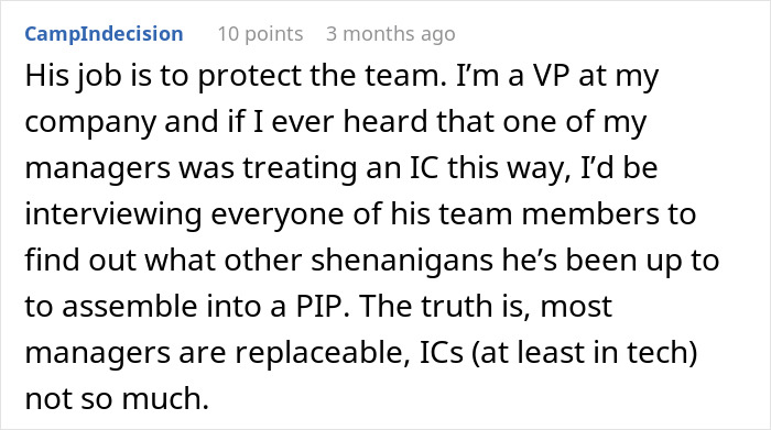 Text of a comment on an online forum discussing a boss and employee, with focus on a manager&rsquo;s treatment of individual contributors and team protection.