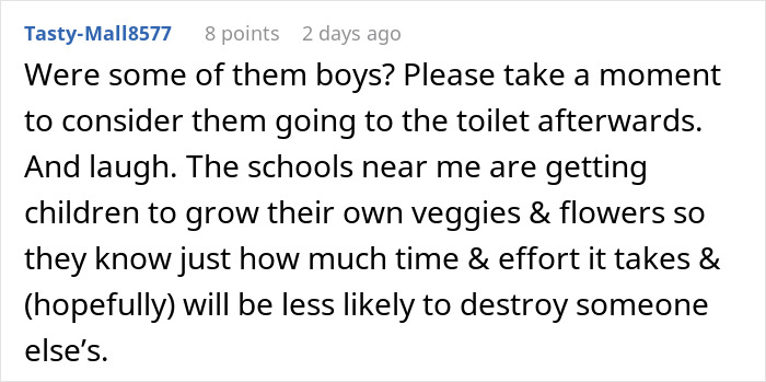 Alt text: Comment discussing woman&rsquo;s hot revenge on neighborhood kids, torn between laughter and guilt after success.