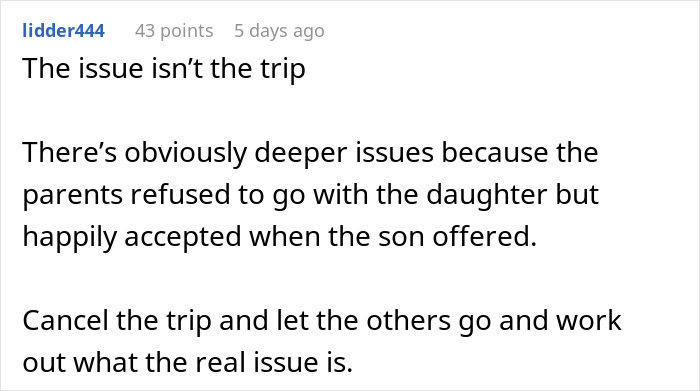 Screenshot of an online comment discussing family issues related to a separate drive to Disneyland trip.