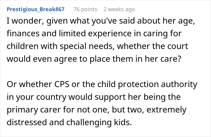 Reddit user questions woman&rsquo;s ability to save niblings from foster care due to age and experience concerns.