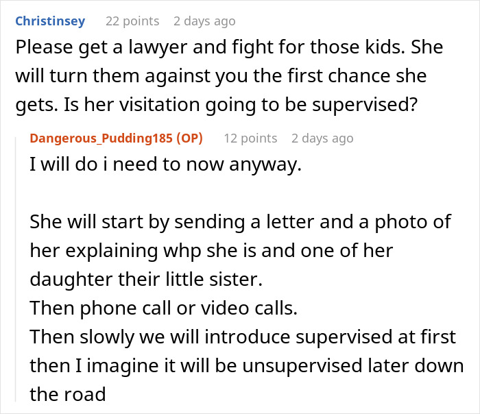 Online discussion about mom abandoning two kids and 23-year-old sister, focusing on custody and supervised visitation concerns.