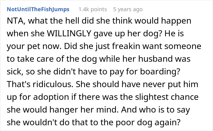 Online comment defending woman who adopts dog, discusses harassment by previous owners over dog's name and care.