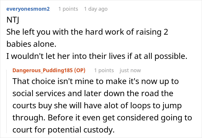 Reddit comments discussing mom abandoning 2 kids with 23-year-old sister and challenges of raising them alone.