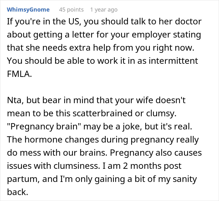 Comment discussing pregnancy brain effects and offering advice about supporting a pregnant bedridden wife during work meetings.