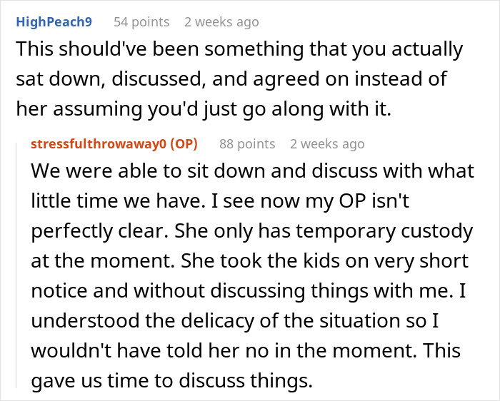 Screenshot of a Reddit conversation about a woman saving niblings from foster care and relationship challenges discussed.