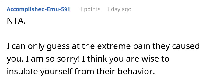 Screenshot of a Reddit comment expressing sympathy and advice regarding a bizarre fake adoption family drama.