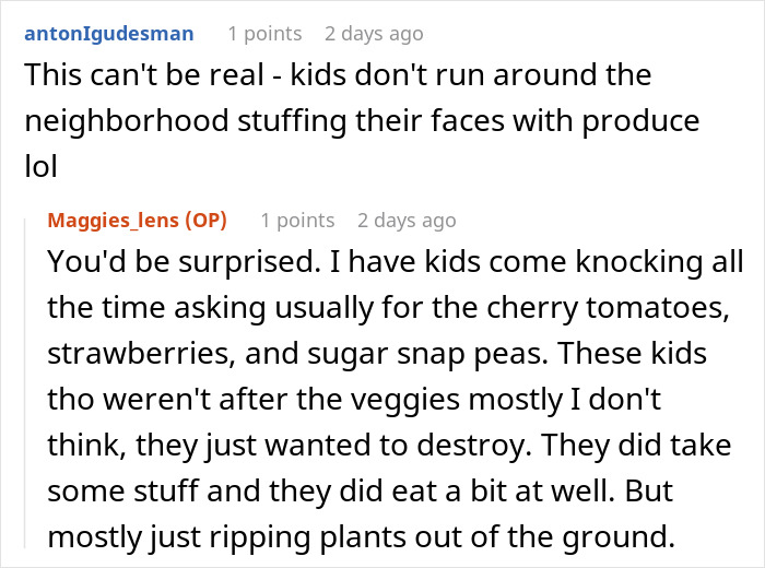 Woman torn between laughter and guilt after her clever revenge on neighborhood kids works perfectly in garden dispute.