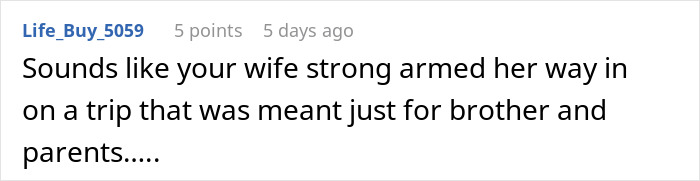 Comment discussing a family separate drive to Disneyland, mentioning a wife joining a trip meant for brother and parents.