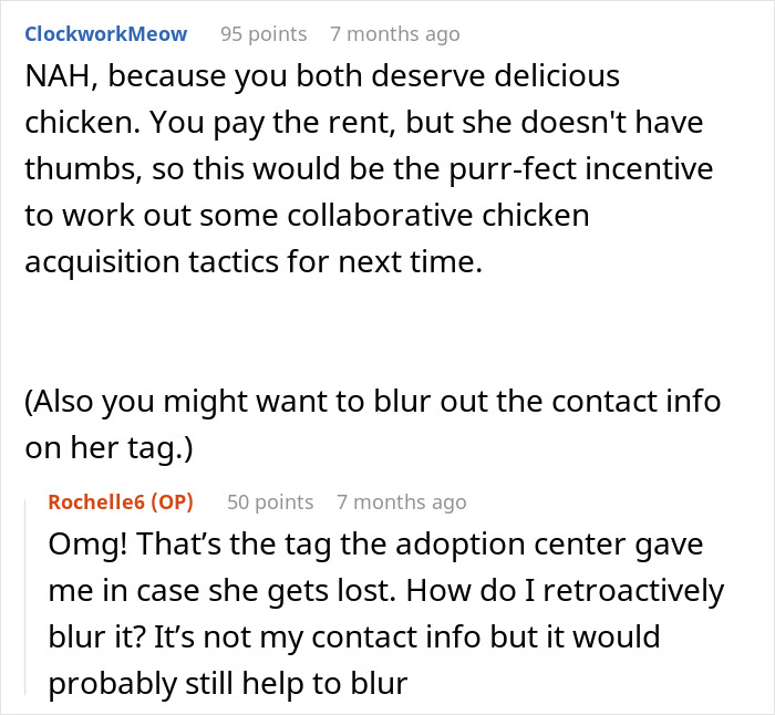 Online discussion about a woman refusing to share her chicken sandwich with her cat and wondering if she&rsquo;s the jerk.