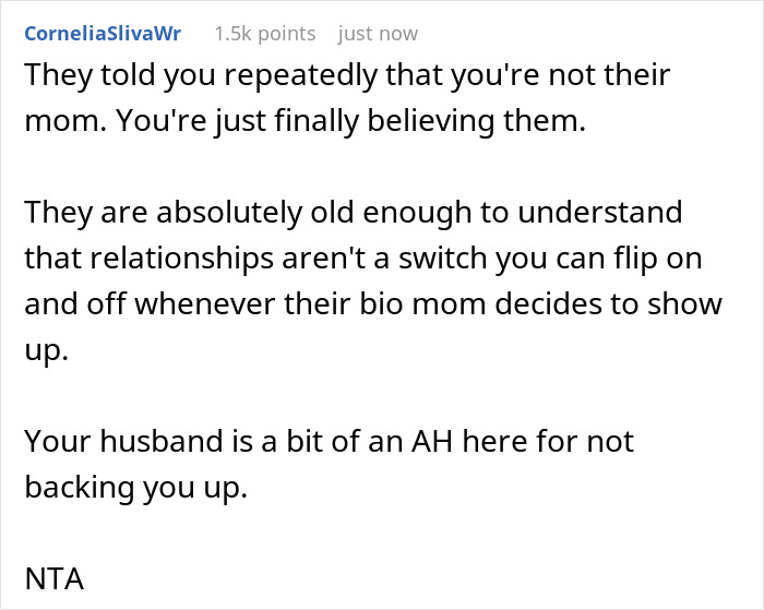 Commenter expressing support for lady hurt by how stepkids turn cruel and refuse to call her mom anymore.