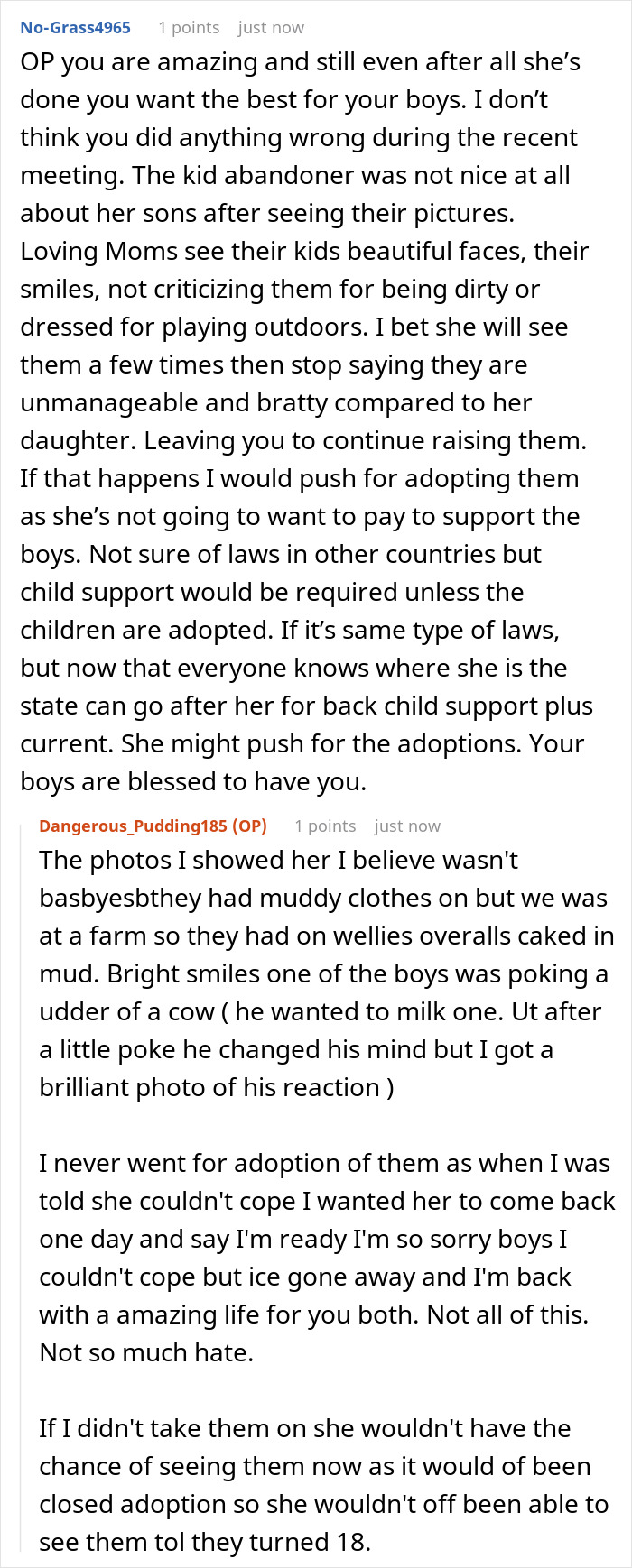 Reddit discussion about mom abandoning kids and sister raising them, highlighting child support and adoption concerns.