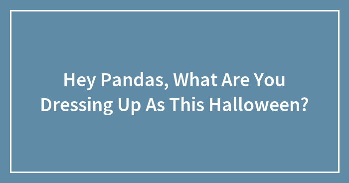 Hey Pandas, What Are You Dressing Up As This Halloween? (Closed)