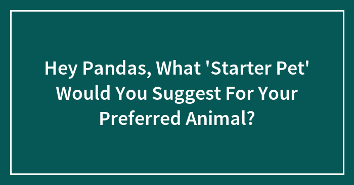 Hey Pandas, What ‘Starter Pet’ Would You Suggest For Your Preferred Animal? (Closed)