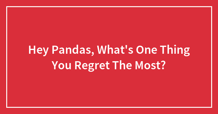 Hey Pandas, What’s One Thing You Regret The Most?