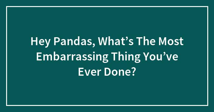 Hey Pandas, What’s The Most Embarrassing Thing You’ve Ever Done?