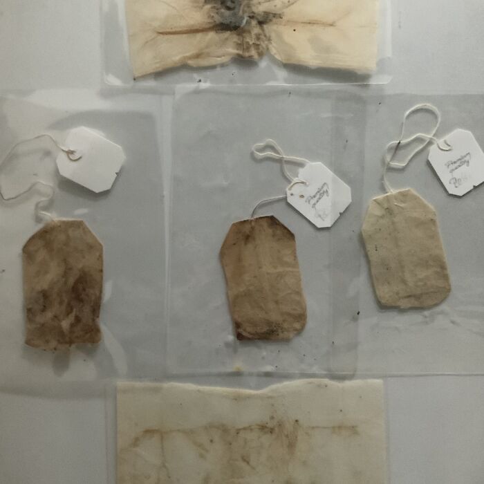 Here’s How An Artist Connects The World With Tea Bags