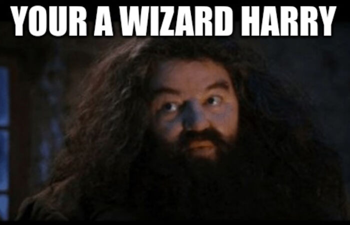 You Don’t Have To Be A Wizard To Laugh At These 40 Harry Potter Memes (38 New Pics)