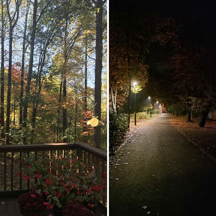 Hey Pandas, Share Your Autumn Photos (Closed)