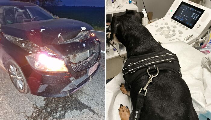 After A Car Accident, Our Family Is Trying To Rebuild