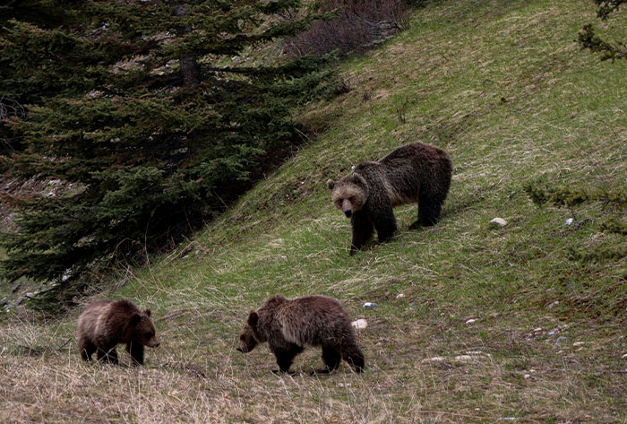 “It’s Chilling”: 47 Disturbing Found Footage Stories That Still Haunt The Internet