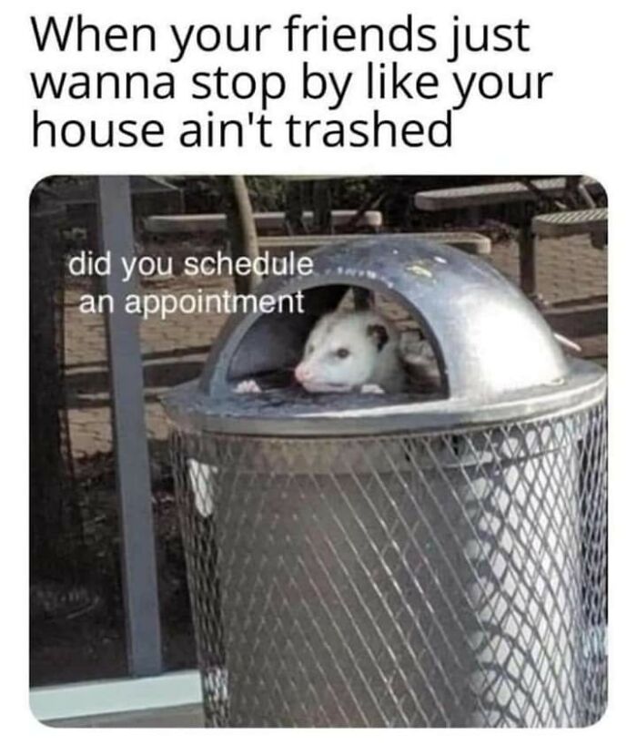 Possum peeking out of a trash can with funny text, part of funny and adorable animal memes to fight sadness and boredom.