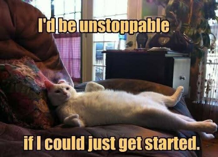 White cat lying stretched out on couch with text about being unstoppable, a funny and adorable animal meme.