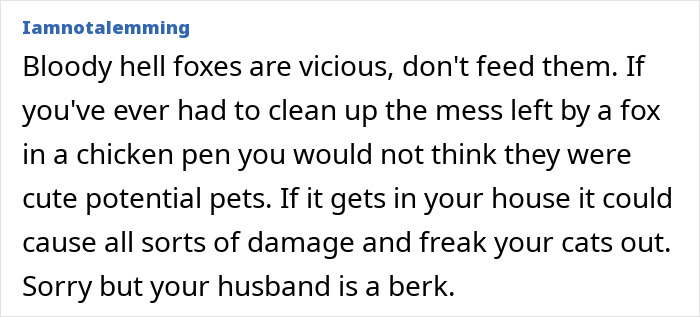 Alt text: Man insists on installing a cat flap while wife suspects it&rsquo;s for his pet fox, sparking a quirky home debate.