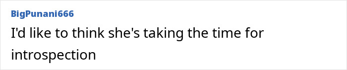 Comment text from user BigPunani666 stating a hope that a plus-size activist is taking time for introspection after alleged legal issues. Comment text from user BigPunani666 stating a hope that a plus-size activist is taking time for introspection after alleged legal issues.