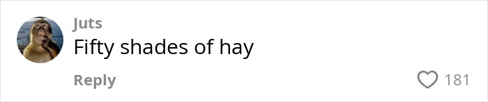Comment on social media post reading Fifty shades of hay with a monkey profile picture and 181 likes.