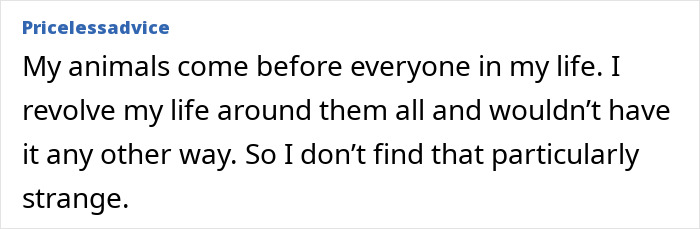 Person gently stroking a cat during intimacy, showing affection and bonding with the pet in a cozy setting.