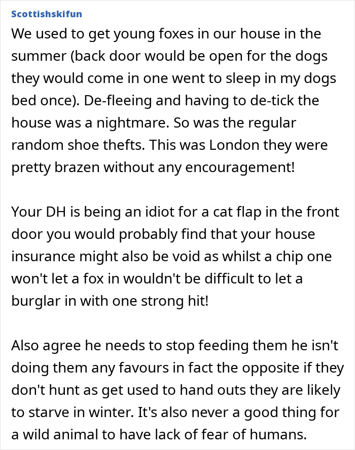 Alt text: Screenshot of a forum post discussing concerns about installing a cat flap and potential issues with pet foxes.