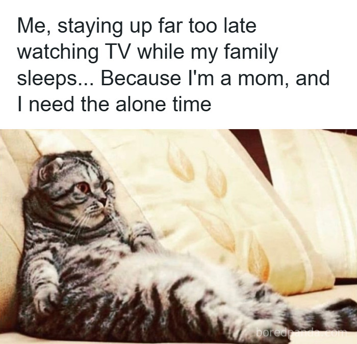 Cat lounging on a couch with text about a mom staying up late for alone time, highlighting relatable parenting memes.