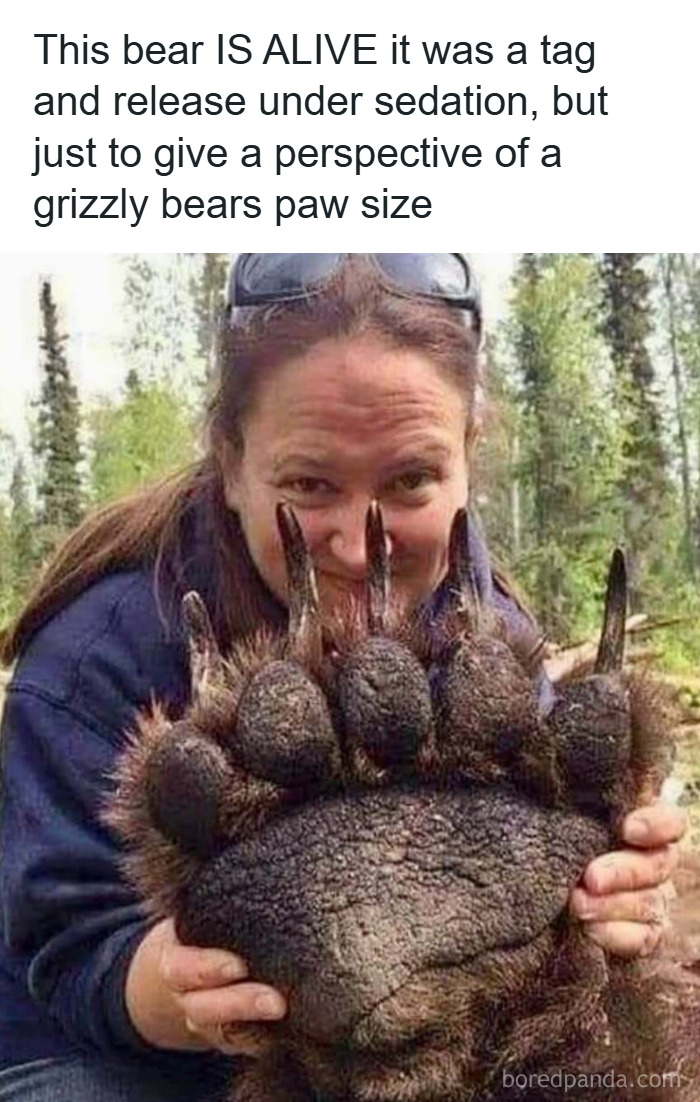 Animal-Humor-Pics-Animalxhumor