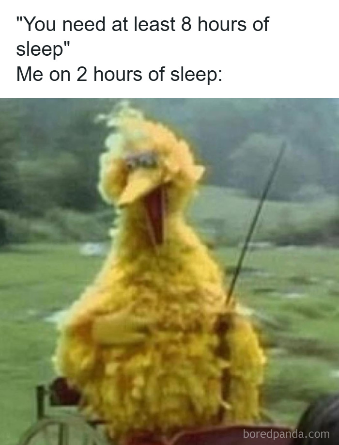Person in a Big Bird costume looking disheveled, illustrating relatable memes for coping with anxiety.