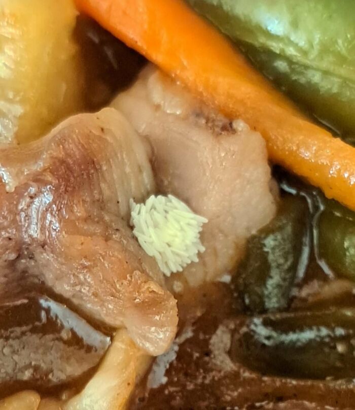 Close-up of cursed and disgusting food showing a cooked dish with unappetizing white larvae or maggots on meat.