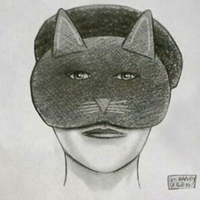 Police sketch resembling a person wearing a humorous cat mask, highlighting badly drawn caricature style in police sketches.