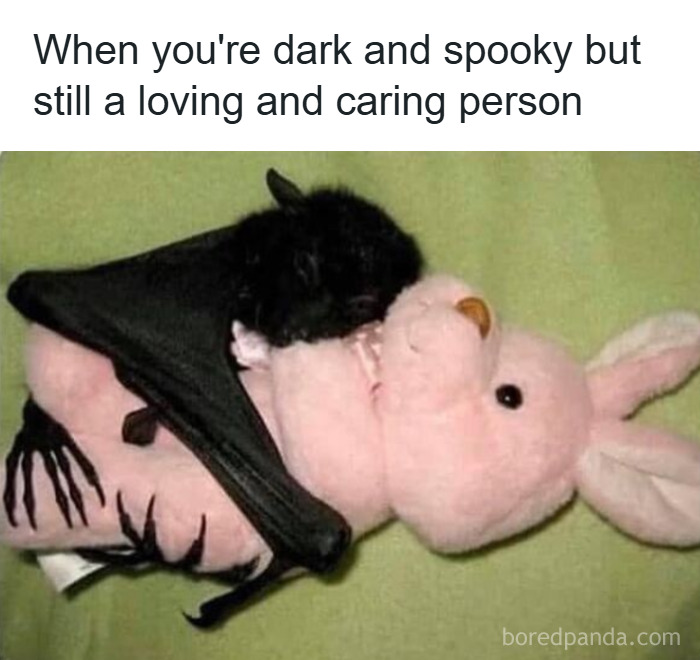 Cute bat hugging a pink stuffed bunny, illustrating a funny and relatable meme about being dark and spooky but caring.