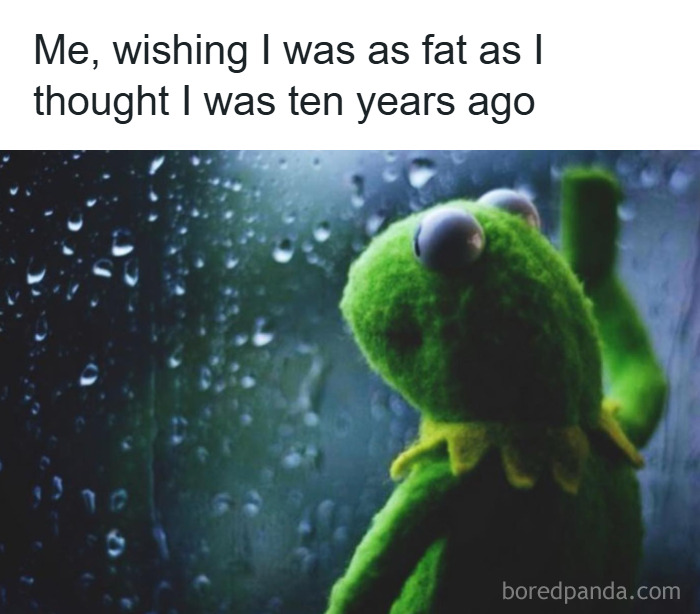 Kermit the Frog looking out a rainy window with a relatable parenting meme about body image and nostalgia.