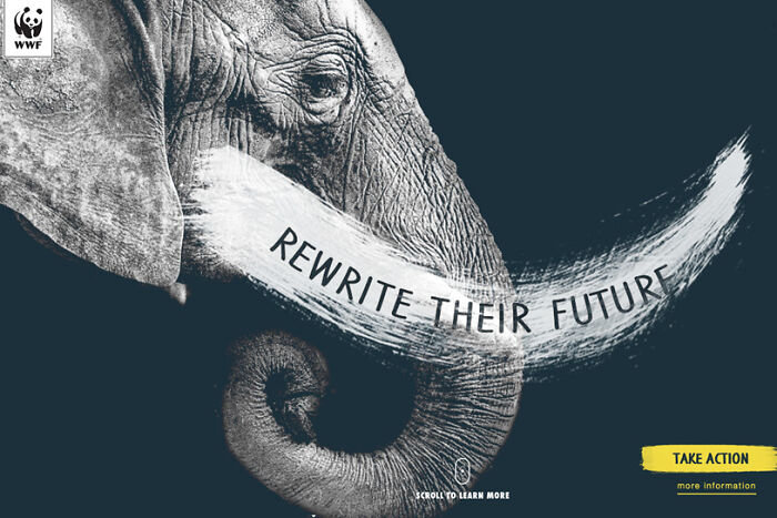 Elephant with a painted tusk reading rewrite their future, part of ad campaigns featuring elephants for wildlife awareness.
